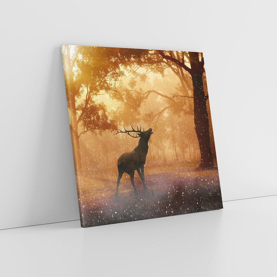 Obraz na płótnie 80x80 - Spotkanie jelena w lesie - jeleń, las