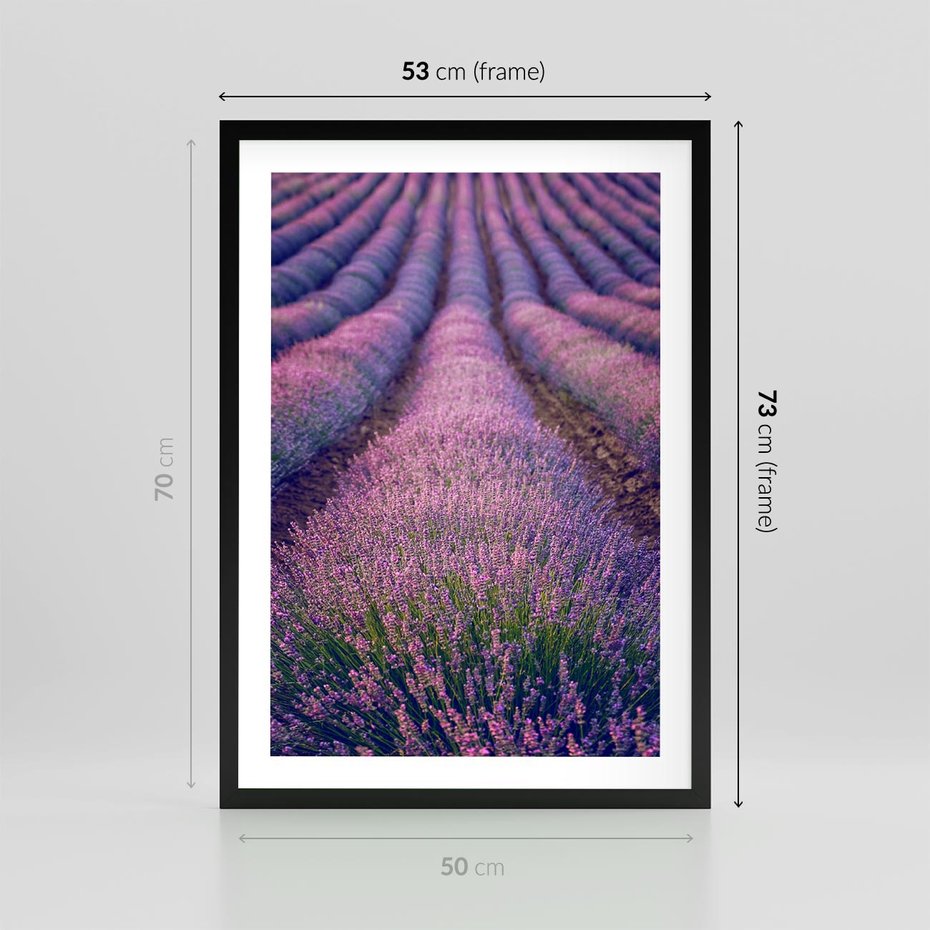 Plakat w ramie 50x70 - Pole Lawendy w Pełnej Krasie - pole lawendy, kompozycja - rama czarna