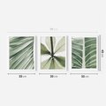Zestaw obrazy w ramie 30x40 galeria - Liście, minimalizm, zieleń - rama biała
