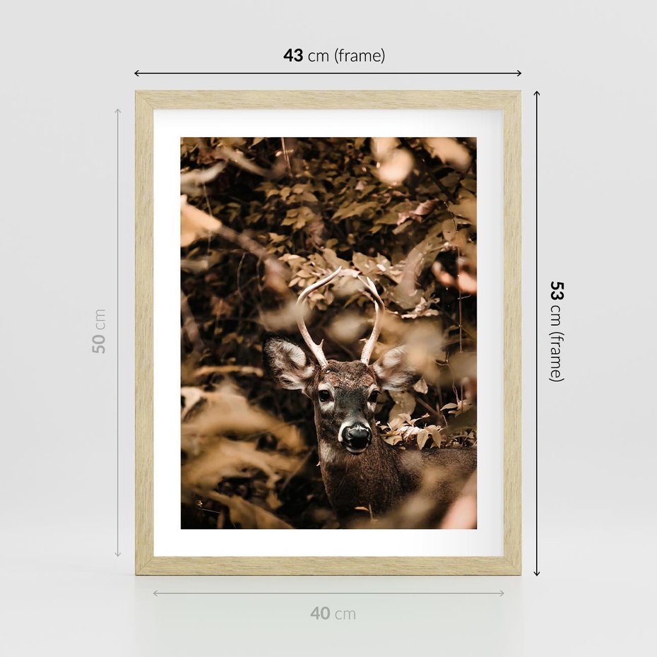 Plakat w ramie 40x50 - Jesienny Jeleń w Lesie - jeleń, w lesie - rama drewno