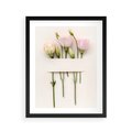 Plakat w ramie 40x50 - Białe kwiatowe uniesienia - białe, kwiaty - rama czarna