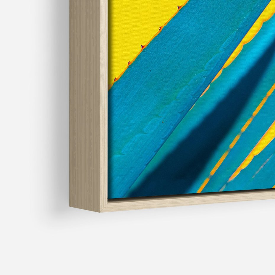 Obraz w ramie 50x70 - Świeżość Natury - aloes, liście - rama drewno