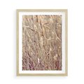 Plakat w ramie 50x70 - Suche Trawy w Wyjątkowym Stylu - suche trawy, boho styl - rama drewno