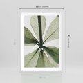 Plakat w ramie 50x70 - Jasna Zieleń w Makro - makro zdjęcie liści, jasna zieleń - rama biała