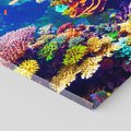 Obraz na płótnie 80x80 - Podwodne Zaczarowanie - kolorowa rafa koralowa, ukwiały