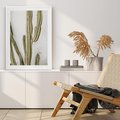 Plakat w ramie 50x70 - Kaktus w Stylu Boho - kaktus, roślina tropikalna - rama biała