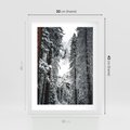 Plakat w ramie 30x40 - Cicha Magia Zimowego Lasu - zimowy las, ośnieżone drzewa - rama biała