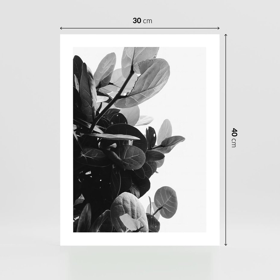 Plakat bez ramy 30x40 - Blisko Natury - liście, rośliny tropikalne