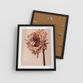 Plakat w ramie 40x50 - Delikatne piękno - suche, kwiaty - rama czarna