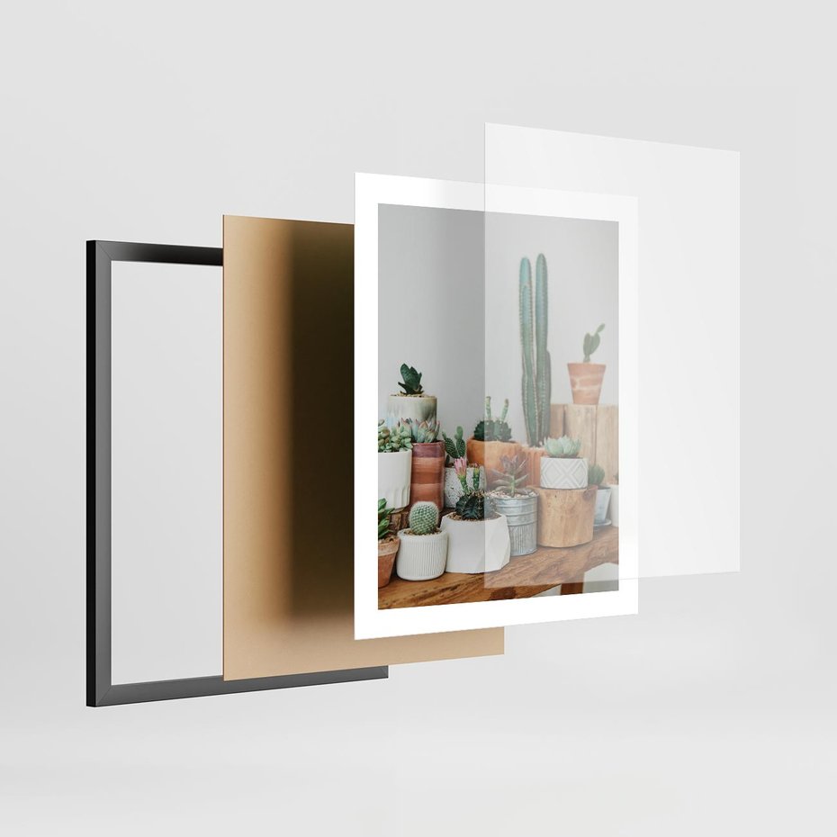 Plakat w ramie 40x50 - Kaktusowa Galeria w Doniczkach - kaktusy w doniczkach, fotografia - rama czarna