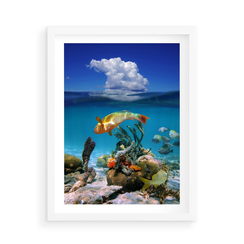 Plakat w ramie 50x70 - Podwodna rafa koralowa: kolorowy oceanowy świat - rafa, koralowa - rama biała