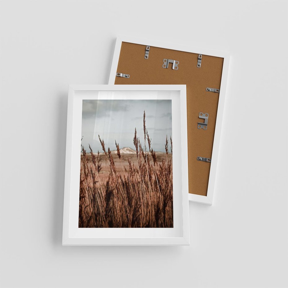 Plakat w ramie 30x40 - Wysokie Trawy w Górskim Krajobrazie - suche trawy, wysokie trawy - rama biała
