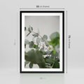 Plakat w ramie 50x70 - Liście eukaliptusa w naturze - eukaliptus, liście - rama czarna