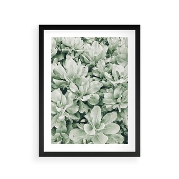 Plakat w ramie 50x70 - Liście w Jasnych Odcieniach Zielonego - liście, jasna zieleń fotografia - rama czarna