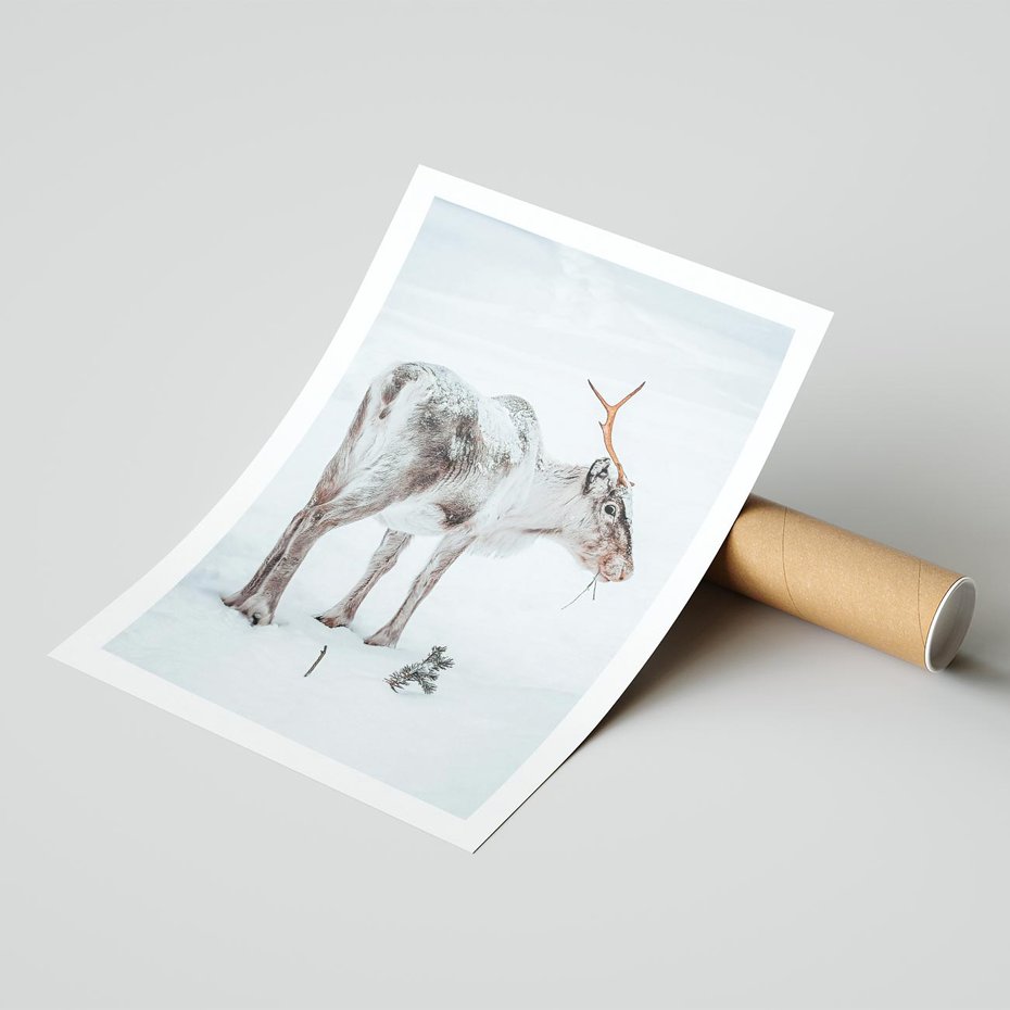 Plakat bez ramy 30x40 - Magia Świąt - renifer na śniegu, śnieg