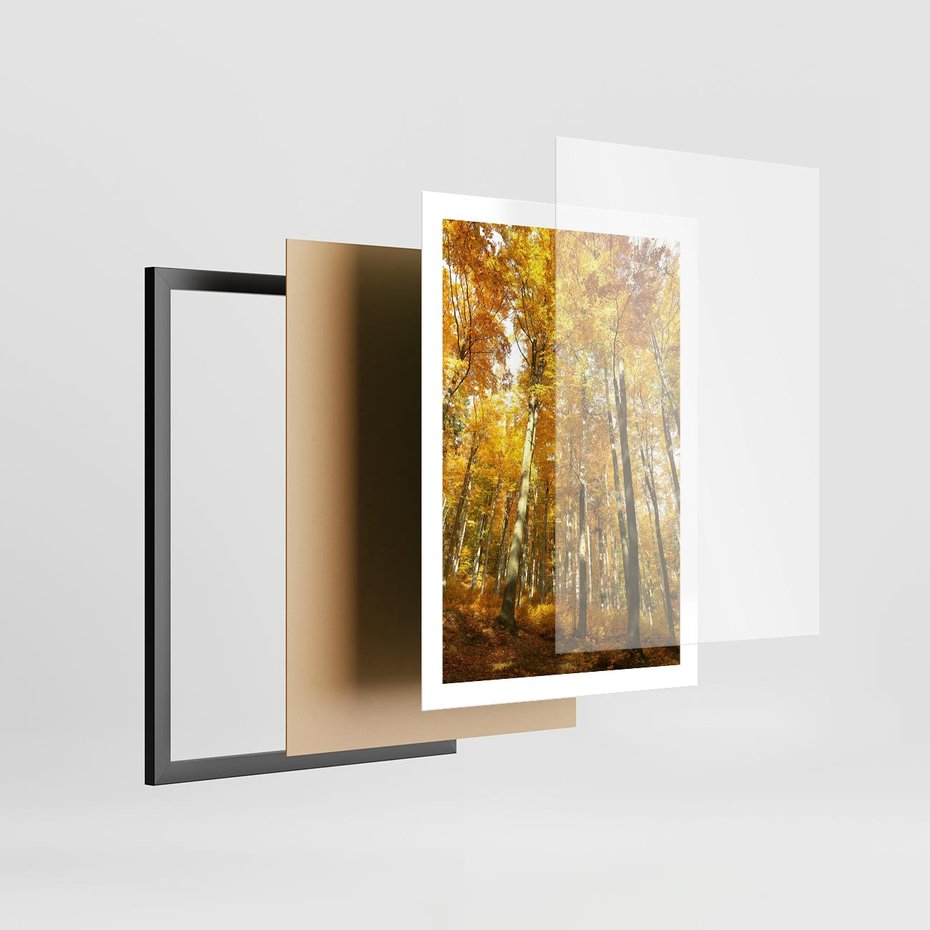 Plakat w ramie 50x70 - Jesienny Las - Kolorowa Paleta Natury - jesień, drzewa - rama czarna