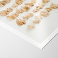 Plakat bez ramy 30x40 - Liście Złotego Sezonu - kompozycja z suchych żółtych liści