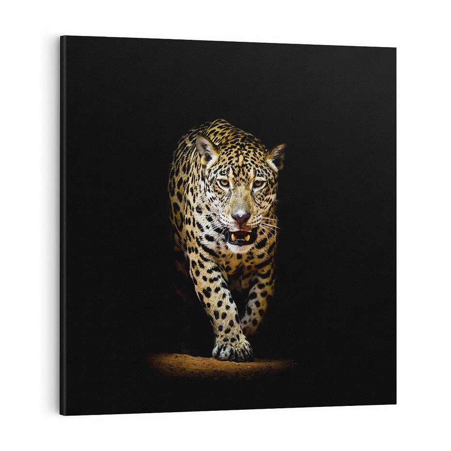 Obraz na płótnie 50x50 - Elegancja lamparta - lampart, pantera
