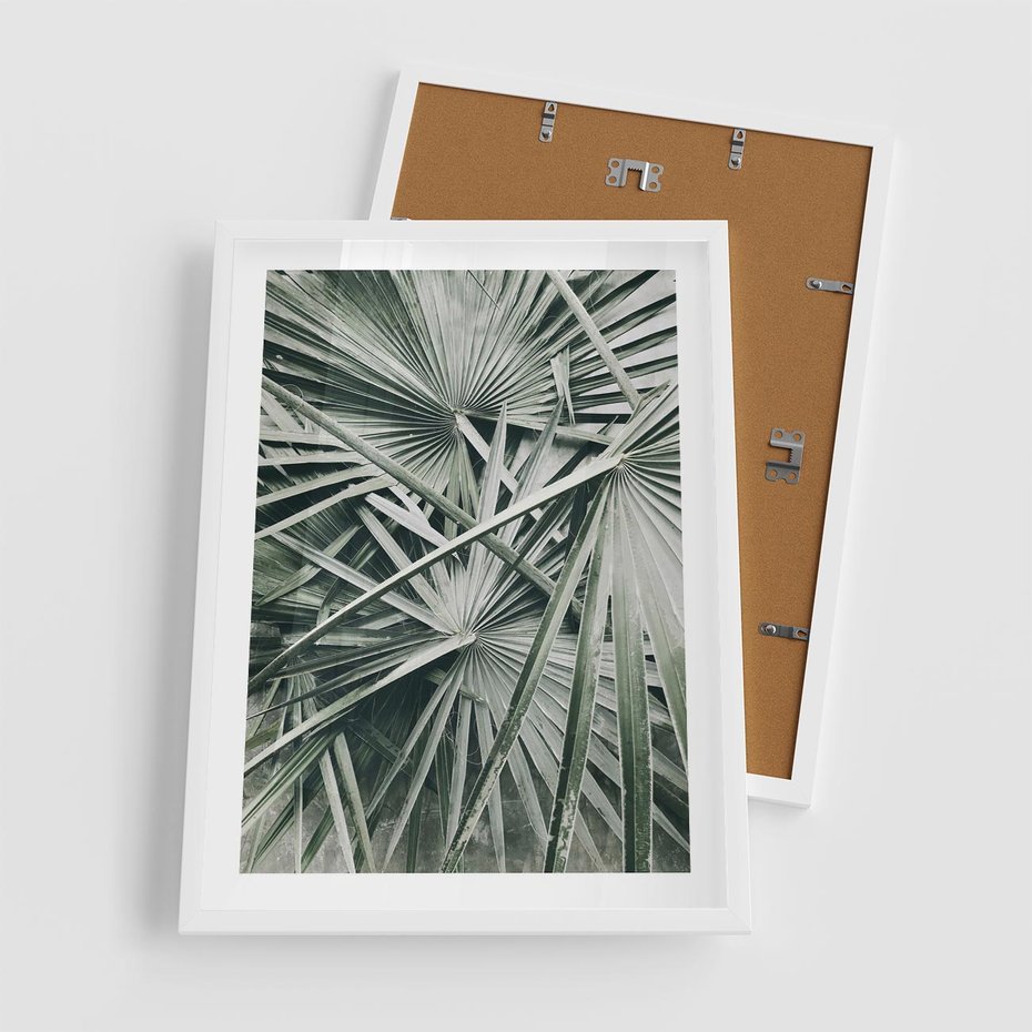 Plakat w ramie 50x70 - Palmy w Zgaszonej Zieleni - palmy, tropikalne liście - rama biała