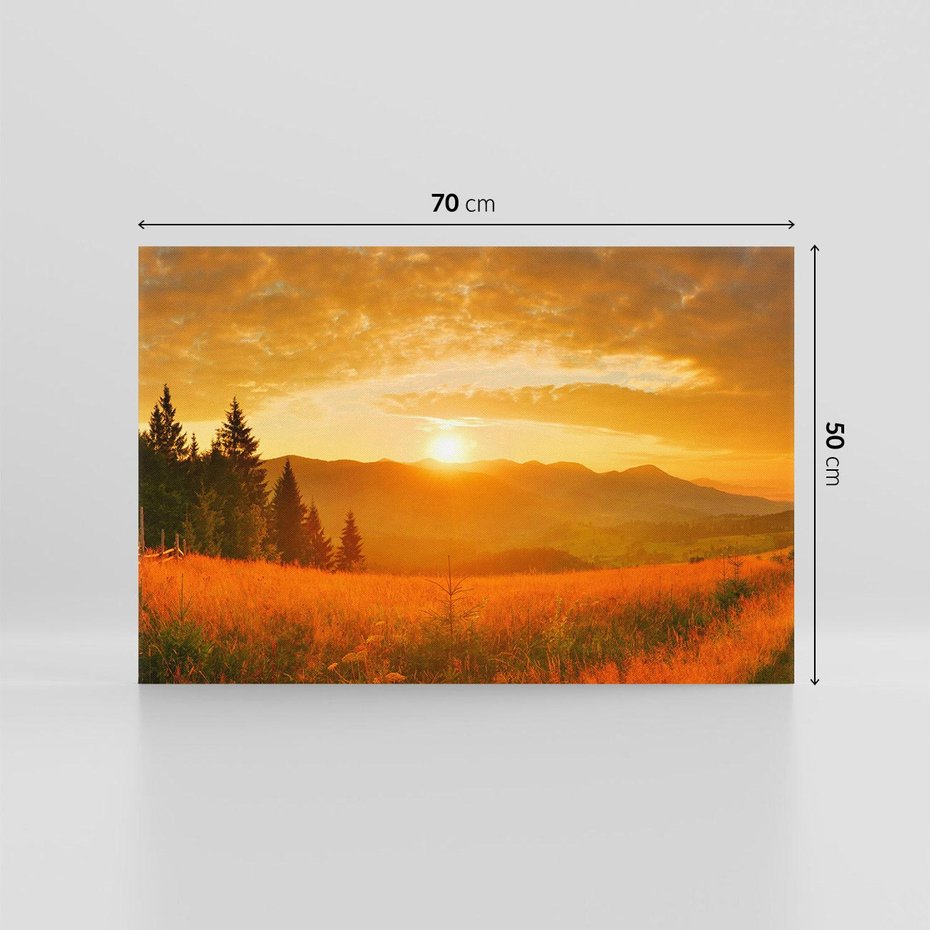 Obraz na płótnie 70x50 - harmonia drzew i kwiatów - góry, łąka