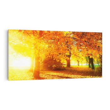 Obraz na płótnie 120x60 - Magia jesiennego lasu - las, drzewa