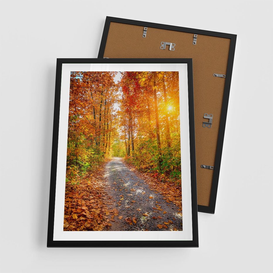 Plakat w ramie 50x70 - Kolorowe drzewa na ścieżce jesieni - las, jesień - rama czarna