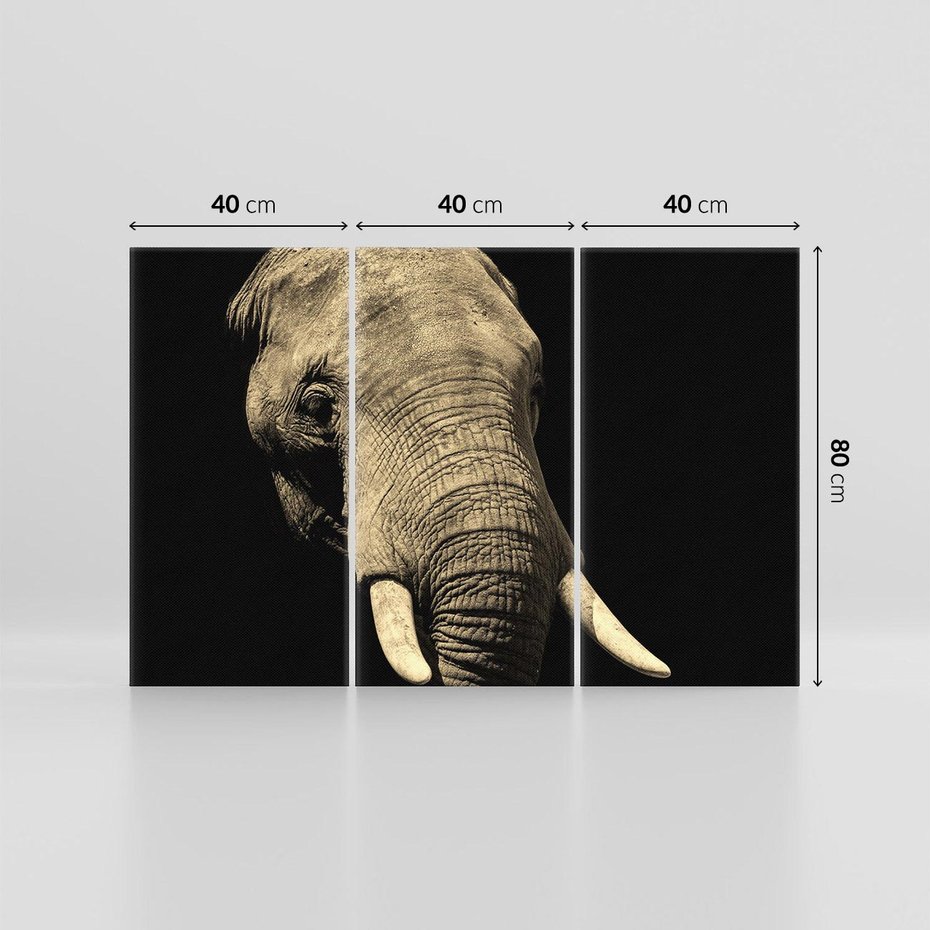 Obraz na płótnie 120x80 - Potężny słoń Afryki - safari, afryka