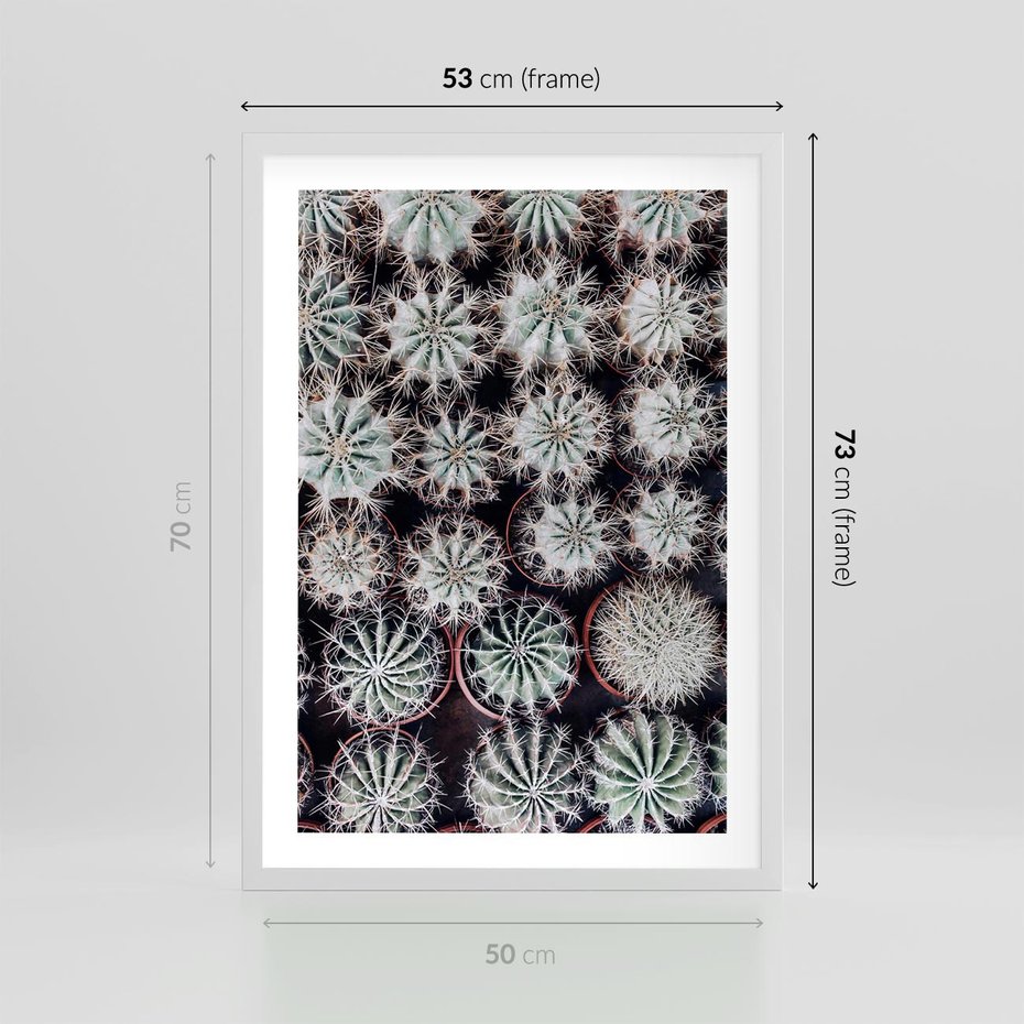 Plakat w ramie 50x70 - Wzór Kaktusów - kaktusy w doniczkach, ujęcie z góry - rama biała