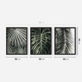 Zestaw obrazy w ramie 30x40 galeria - Liście, palmy, monstery - rama czarna