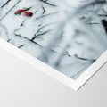 Plakat bez ramy 30x40 - Zima w Detalu: Gałęzie ze Szronem i Śniegiem - śnieg, zima