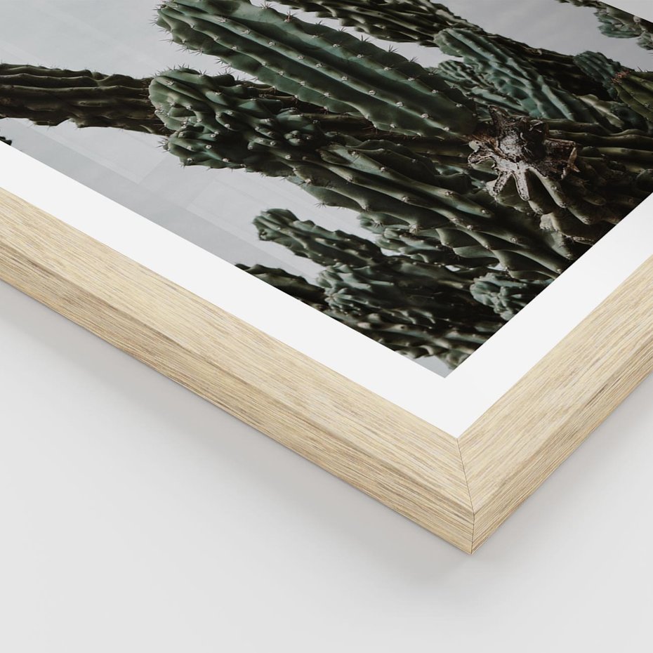 Plakat w ramie 50x70 - Boho oaza wśród kaktusów - kaktusy, pustynia - rama drewno