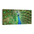 Obraz na płótnie 120x60 - Wspaniałość pawich piór - paw, pióra