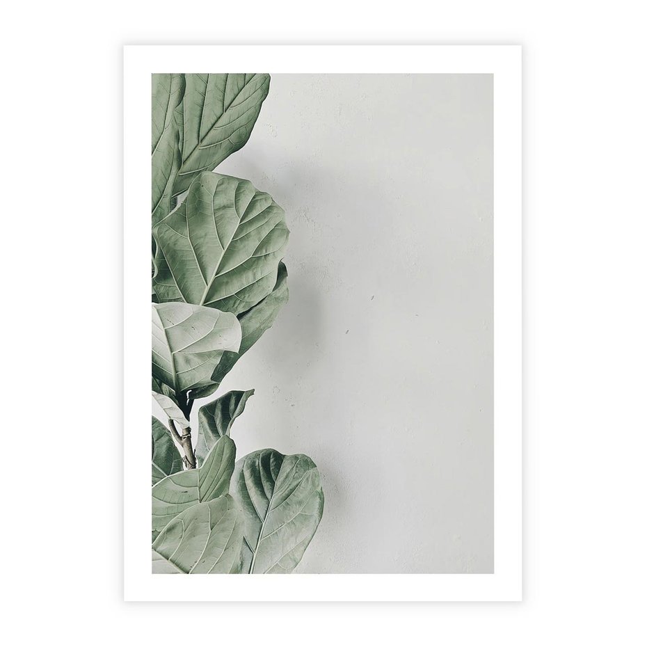 Plakat bez ramy 21x30 - Minimalistyczna Harmonia: Zieleń Liści - zieone liście, kompozycja