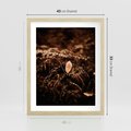 Plakat w ramie 40x50 - Gałęzie i Liść w Brązowej Tonacji - suche gałęzie, liść - rama drewno