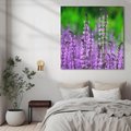 Obraz na płótnie 60x60 - Lawenda magia purpury - lawenda, kwiaty