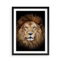 Plakat w ramie 50x70 - Król zwierząt w majestatycznym stylu - lew, król - rama czarna