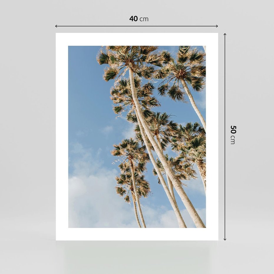 Plakat bez ramy 40x50 - Pod Niebem Palmy - palmy na niebieskim niebie