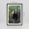 Plakat w ramie 50x70 - Spotkanie z Niedźwiedziem w Lesie - niedźwiedź, las - rama czarna