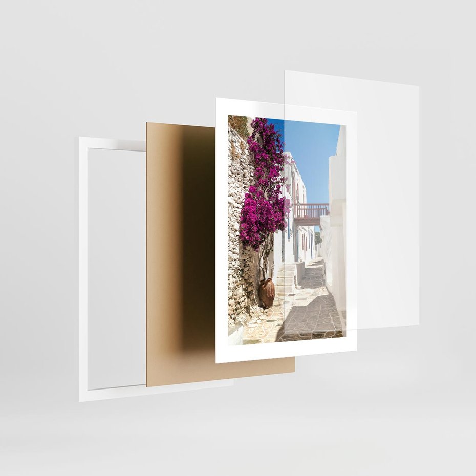 Plakat w ramie 30x40 - Kwiaty Chorwacji - kwiaty, Chorwacja - rama biała