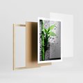 Plakat w ramie 50x70 - Bambusowa Harmonia - bambus, liście - rama drewno