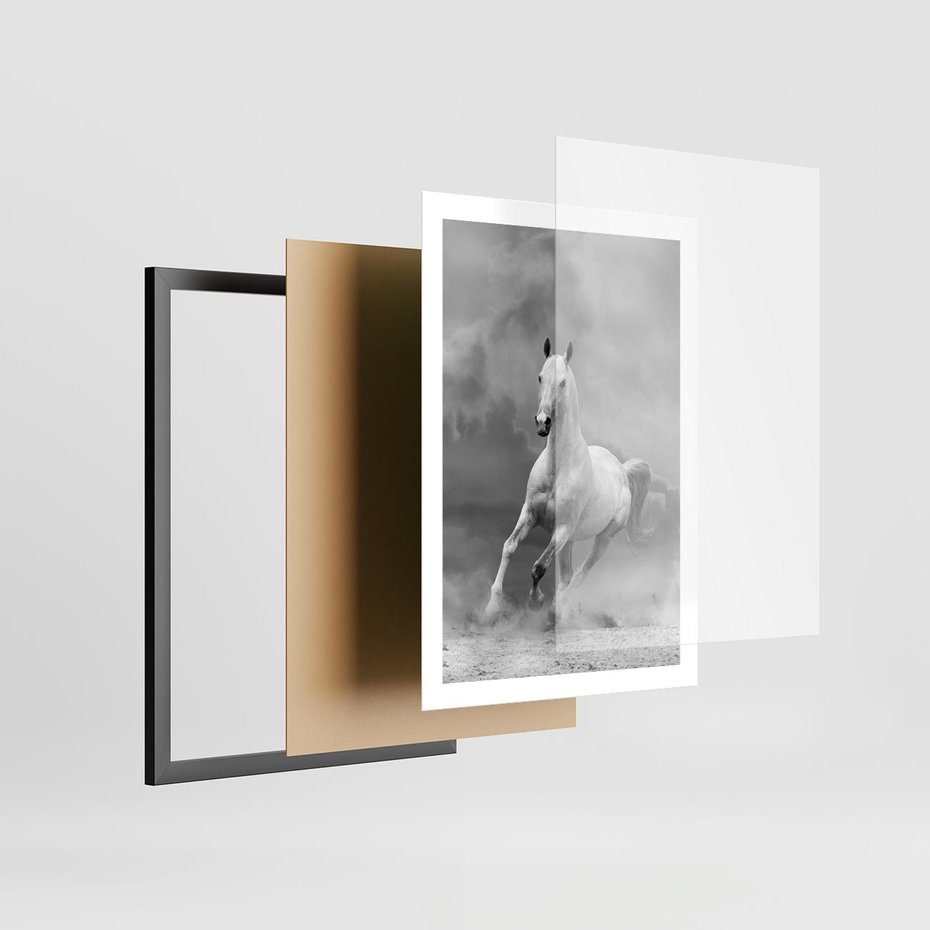 Plakat w ramie 50x70 - Elegancja w Czarno-Białym - koń, biało - rama czarna