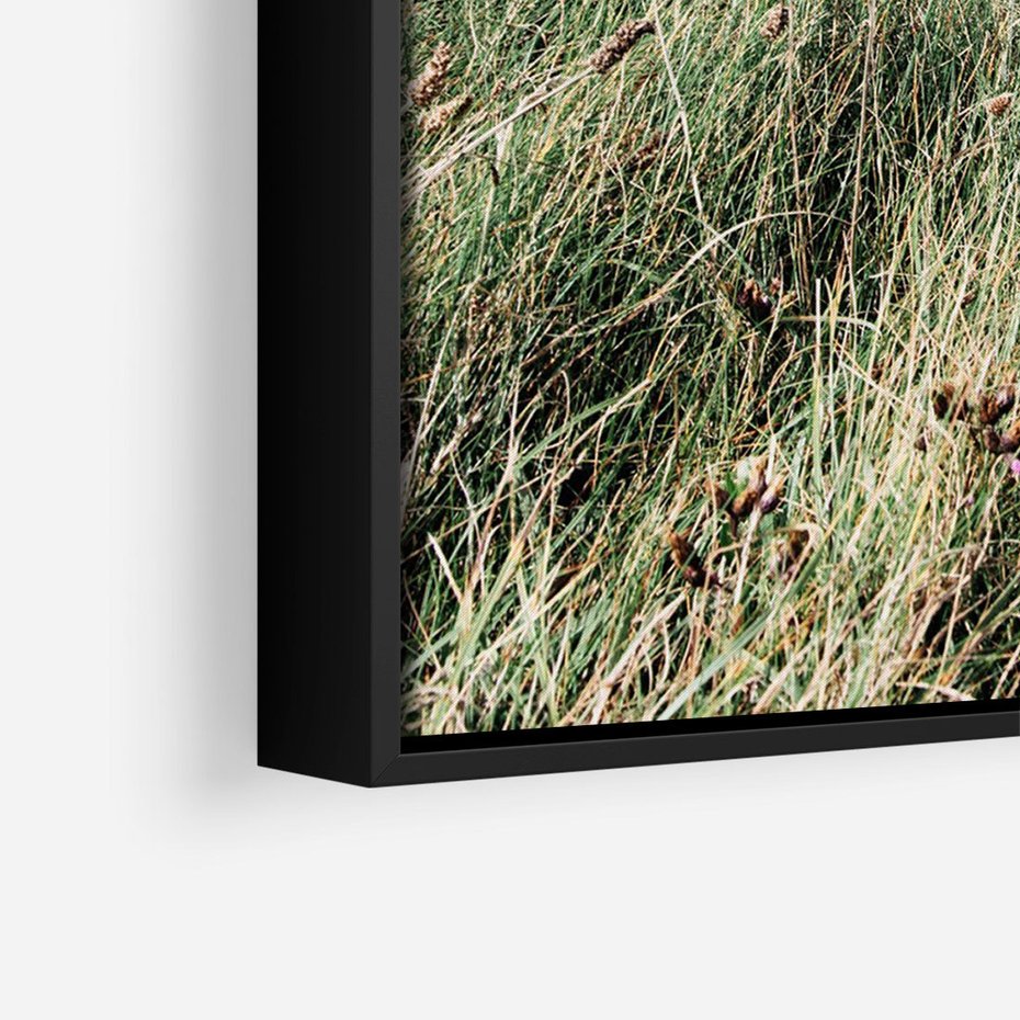 Obraz w ramie 70x100 - Harmonia Natury - widok z wydm, wydmy porośnięte trawami - rama czarna