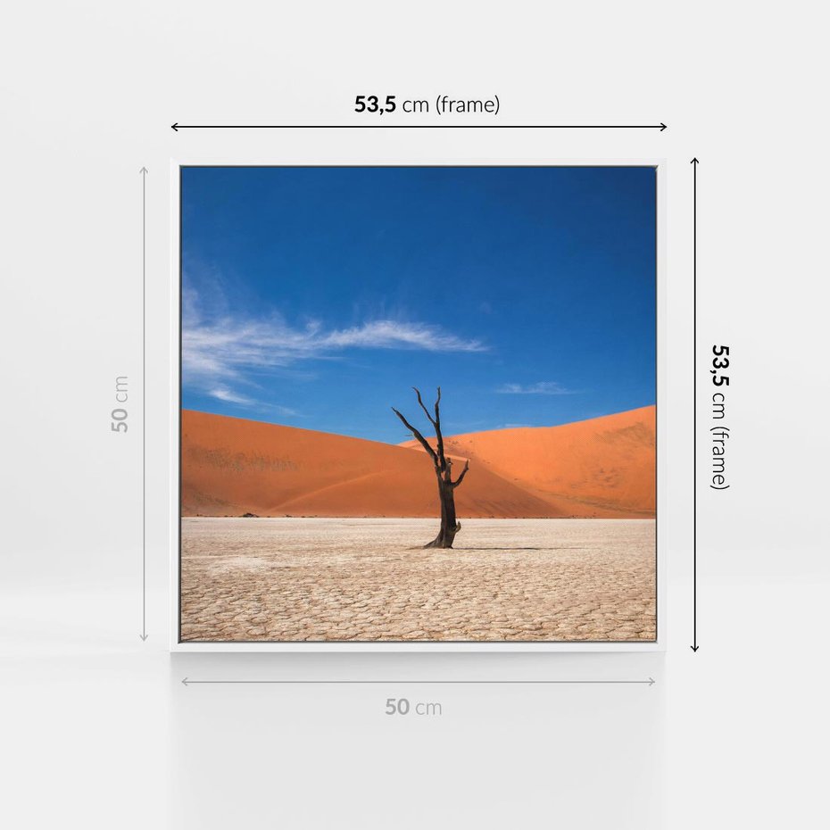 Obraz w ramie 50x50 - Słońce i Suche Drzewo - pustynia, suche - rama biała