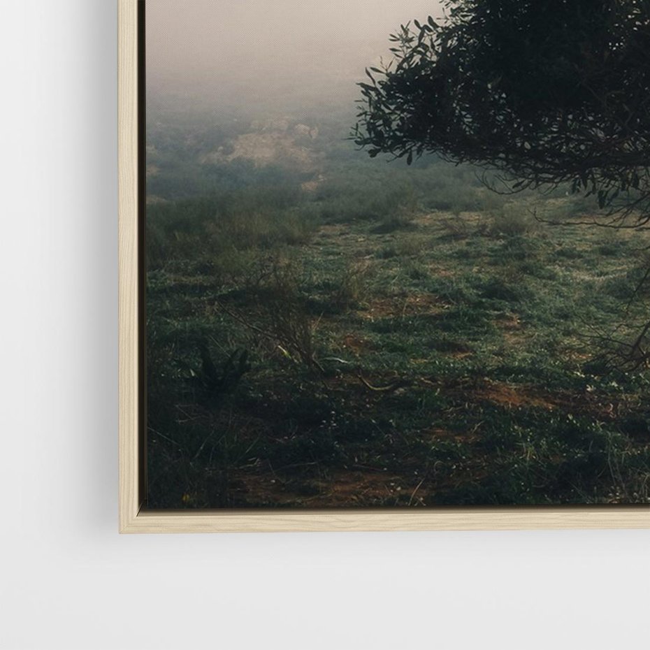 Obraz w ramie 70x50 - Zamglona Prostota - artystyczna fotografia, samotne drzewo na zamglonej łące - rama drewno