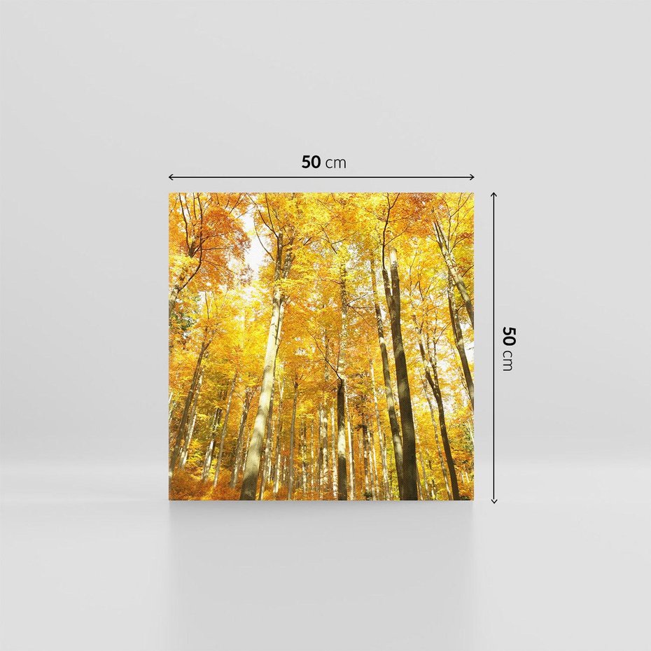 Obraz na płótnie 50x50 - Jesienny Las - Kolorowa Paleta Natury - jesień, drzewa