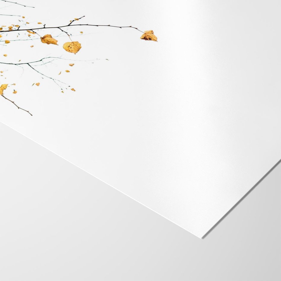 Plakat bez ramy 50x70 - Złota Jesień - drzewo, żółte liście