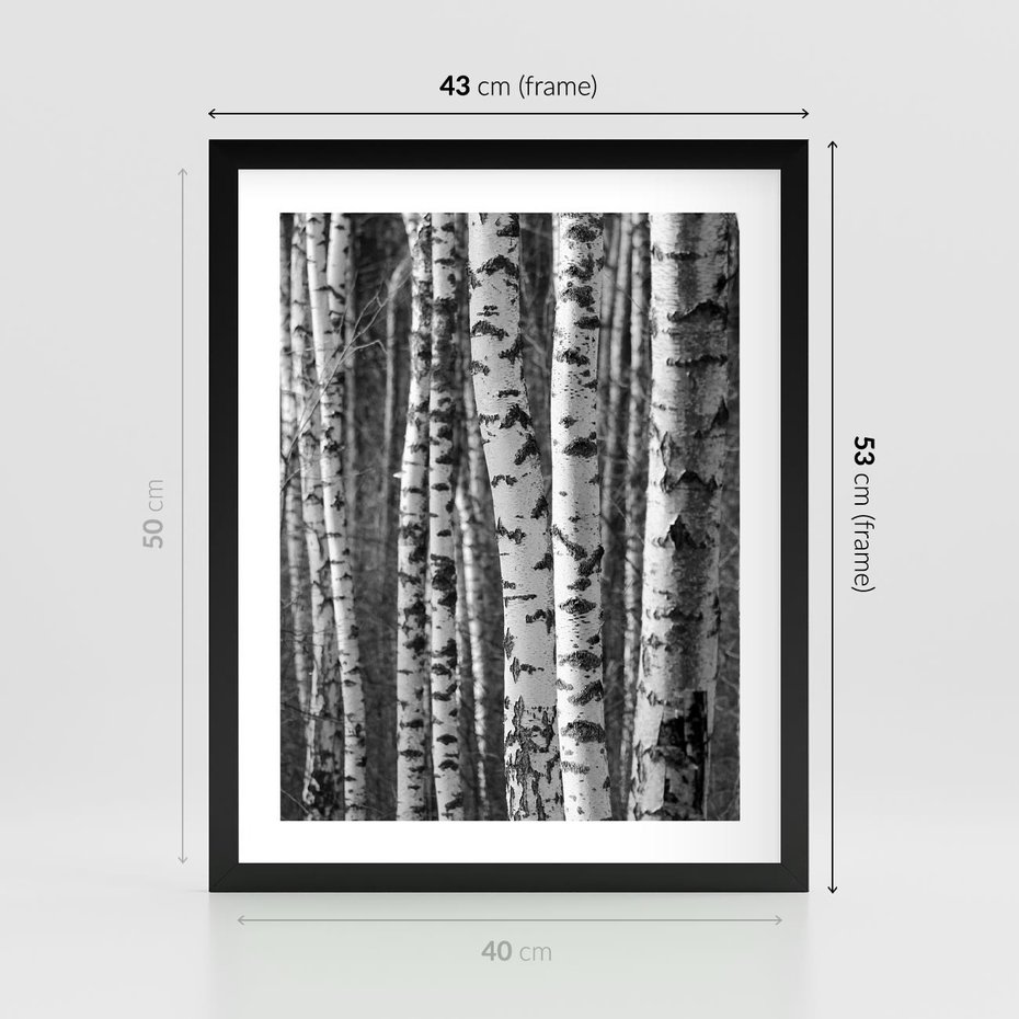 Plakat w ramie 40x50 - Kontrast Monochromatyczny - brzozy, czarno - rama czarna