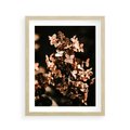 Plakat w ramie 40x50 - Hortensja - Suchy Kwiat w Sztuce - hortensja, suchy kwiat - rama drewno