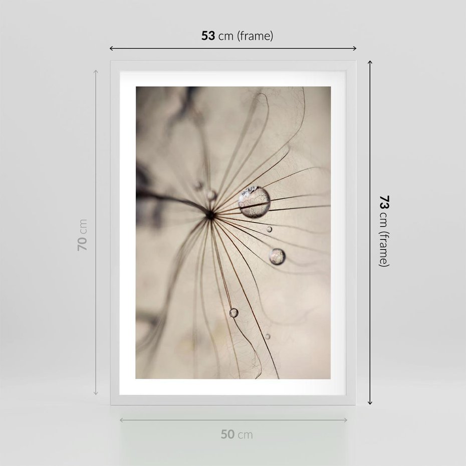 Plakat w ramie 50x70 - Makro Uroda: Kropla na Dmuchawcu - zbliżenie makro, kropla wody na ziarenku dmuchawca - rama biała