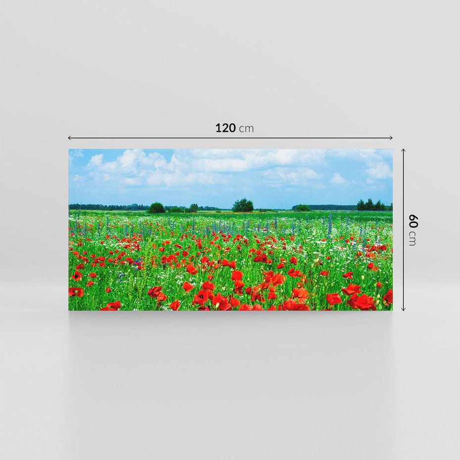 Obraz na płótnie 120x60 - Kolorowa łąka pełna maku - łąka, maki
